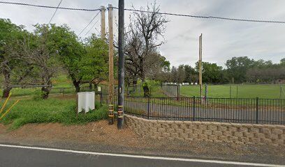 Dog park