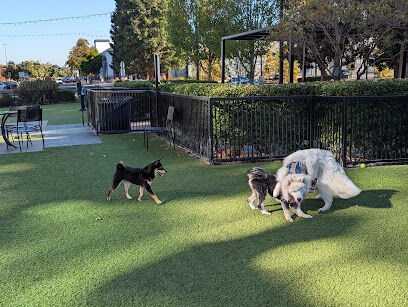 Village Green Dog Park