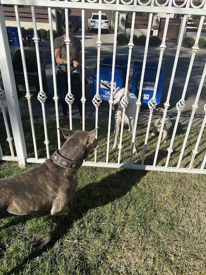Whisman Dog Park