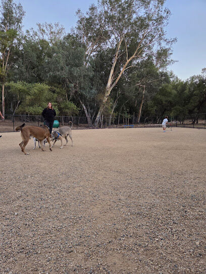 Glen Arbor dog Park