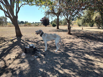 Canine Commons