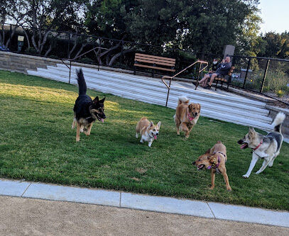 Newbark Dog Park