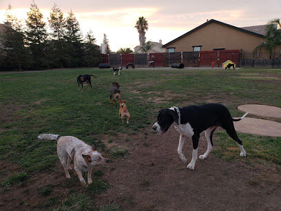 Newman Community Dog Park