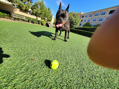 Villas Fashion Island Dog Park
