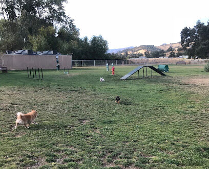 Nice Dog Park