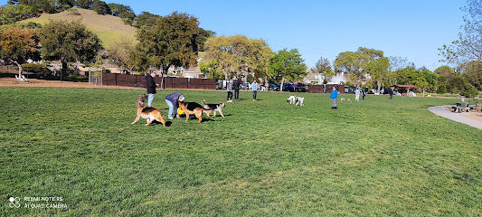 Dogbone Meadow