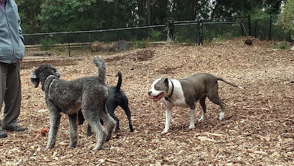 Joaquin Miller Dog Park
