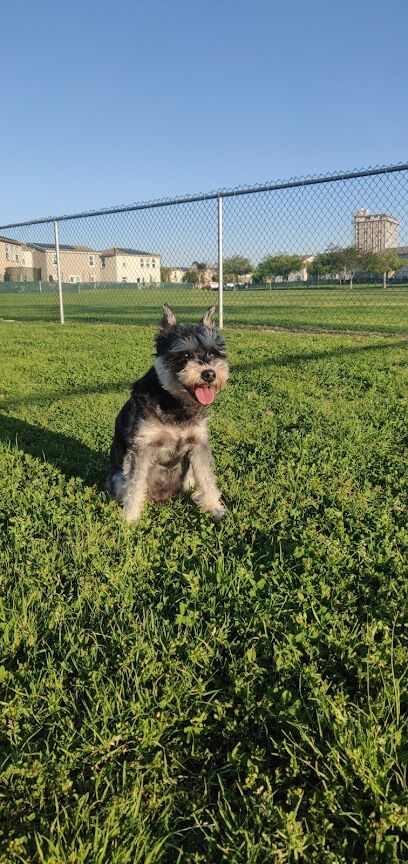 Military access only: Del Mar Dog Park