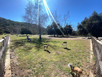 Mitchell Edelson Dog Park