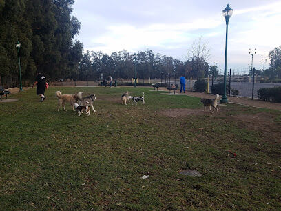 College Dog Park
