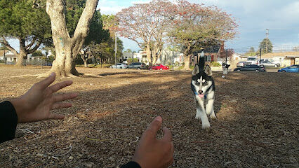 Dog Park
