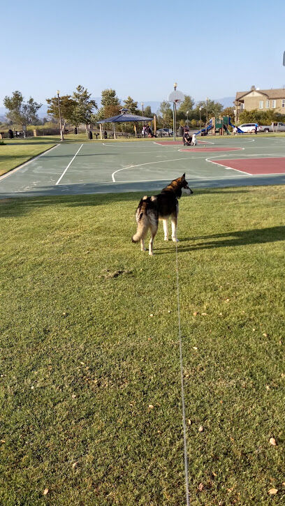 Windrow Off-leash Dog Park