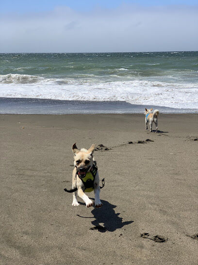 Pacifica Esplanade Beach