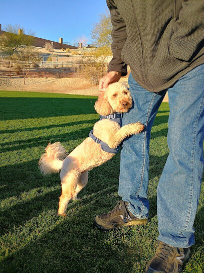 University Dog Park