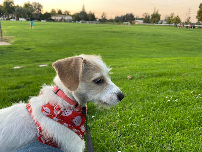 Greer Dog Park