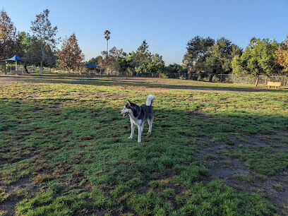 Alice's Dog Park