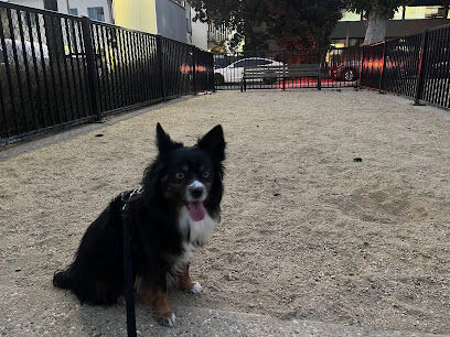 Playhouse Village Dog Runs