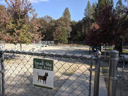 Dog Training Area