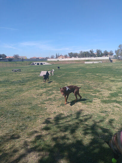 Paws Dog Park