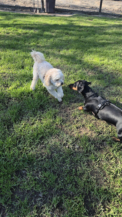 Paso Nogal Dog Park