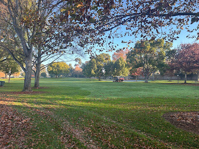 Dog Park for smaller dogs