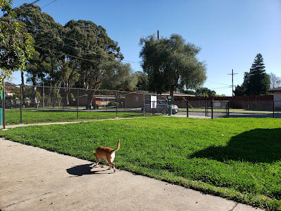 Port Hueneme Naval Base Dog Park