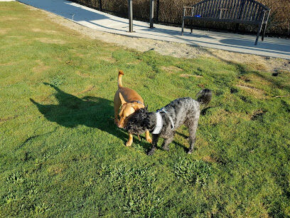 Cañada Vista Dog Park