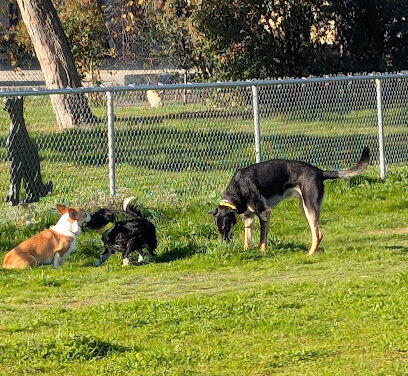 Sher Wintle Memorial Dog Park