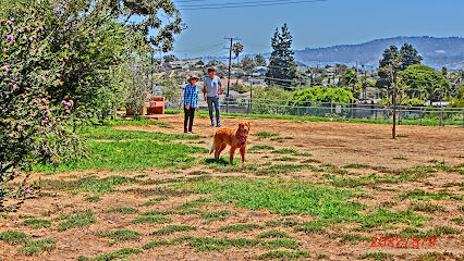 Redondo Beach Dog Park