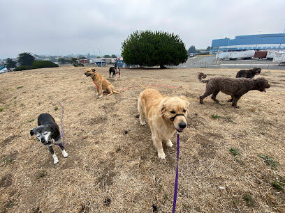 Point Isabel Dog Park
