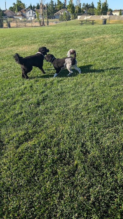 Val de Flores Dog Park