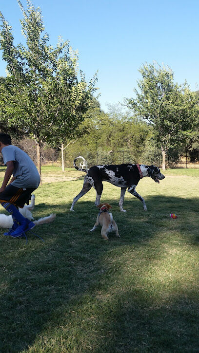 Zig & Eivo Off-Leash Dog Park