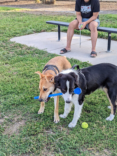 Dog Park - Regency Community Park