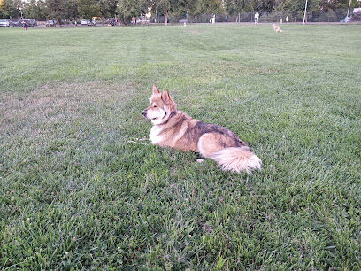 Dog Park