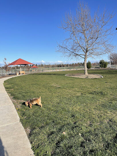 North Natomas Regional Dog Park