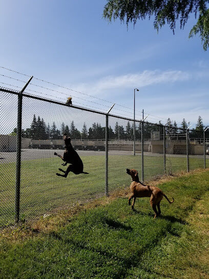 Partner Park Dog Park