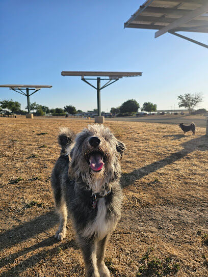 Sutter’s Landing Dog Park