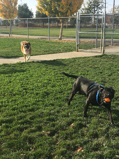 Tanzanite Dog Park