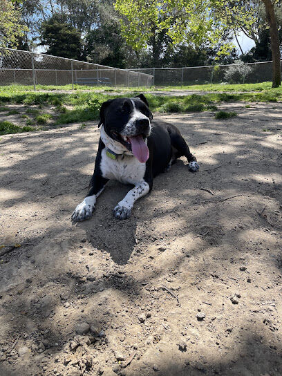 Commodore Dog Park