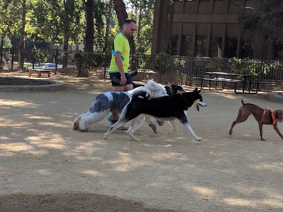 City Hall Dog Park