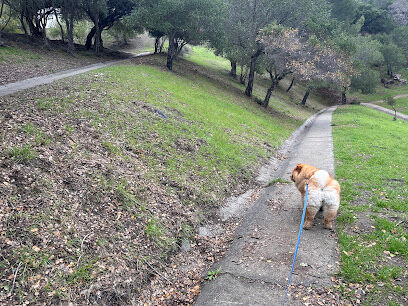 Dog Park | Heather School