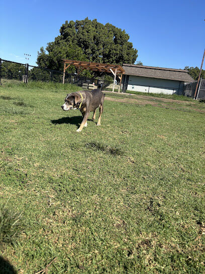 Allied Gardens Dog Park