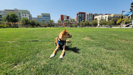 Centrum Dog Park