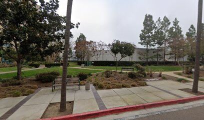 Dog Park
