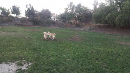 Dog Park