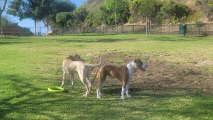 Escala Dog Park (Private)
