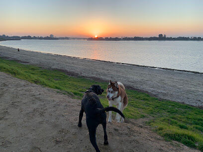 Fiesta Island Dog Park
