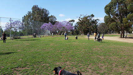 Grape Street Dog Park