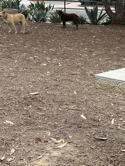 La Jolla Colony Dog Park