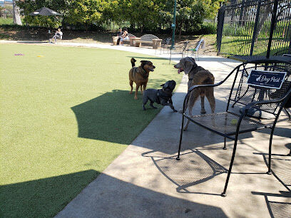 Little Italy Dog Park